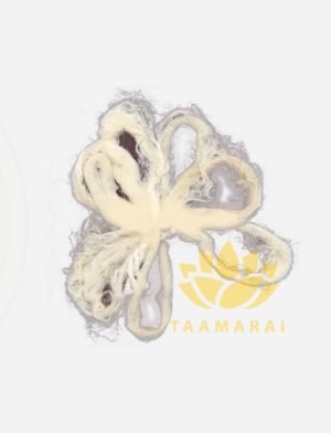 Thamarai wicks-Lotus stem wicks